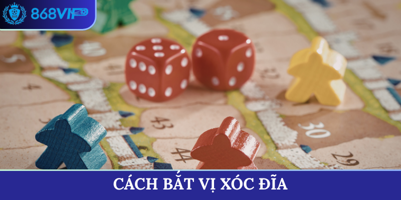 cách bắt vị xóc đĩa