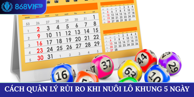 Cách quản lý rủi ro khi nuôi lô khung 5 ngày