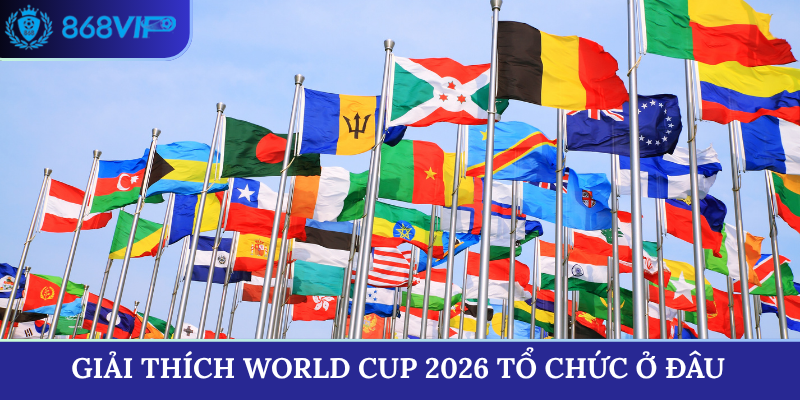 Giải thích World Cup 2026 tổ chức ở đâu chi tiết