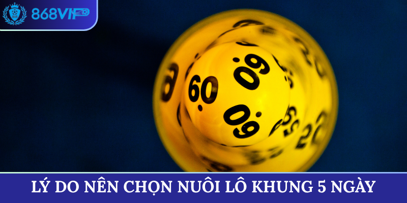 Lý do nên chọn nuôi lô khung 5 ngày
