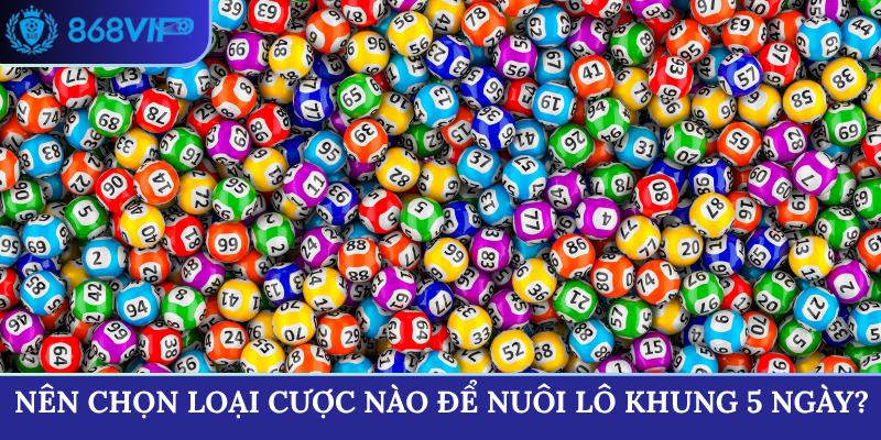 Nên chọn loại cược nào để nuôi lô khung 5 ngày?