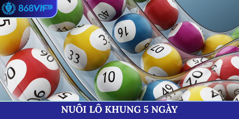 nuôi lô khung 5 ngày