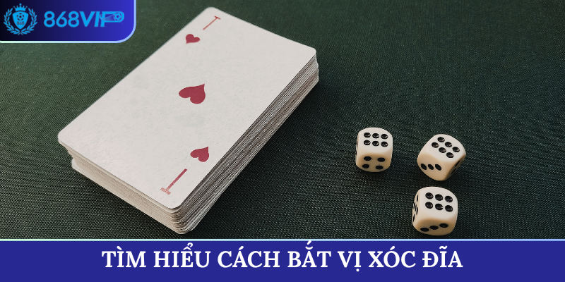 Tìm hiểu cách bắt vị xóc đĩa