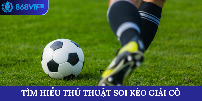 Tìm hiểu thủ thuật soi kèo giải cỏ